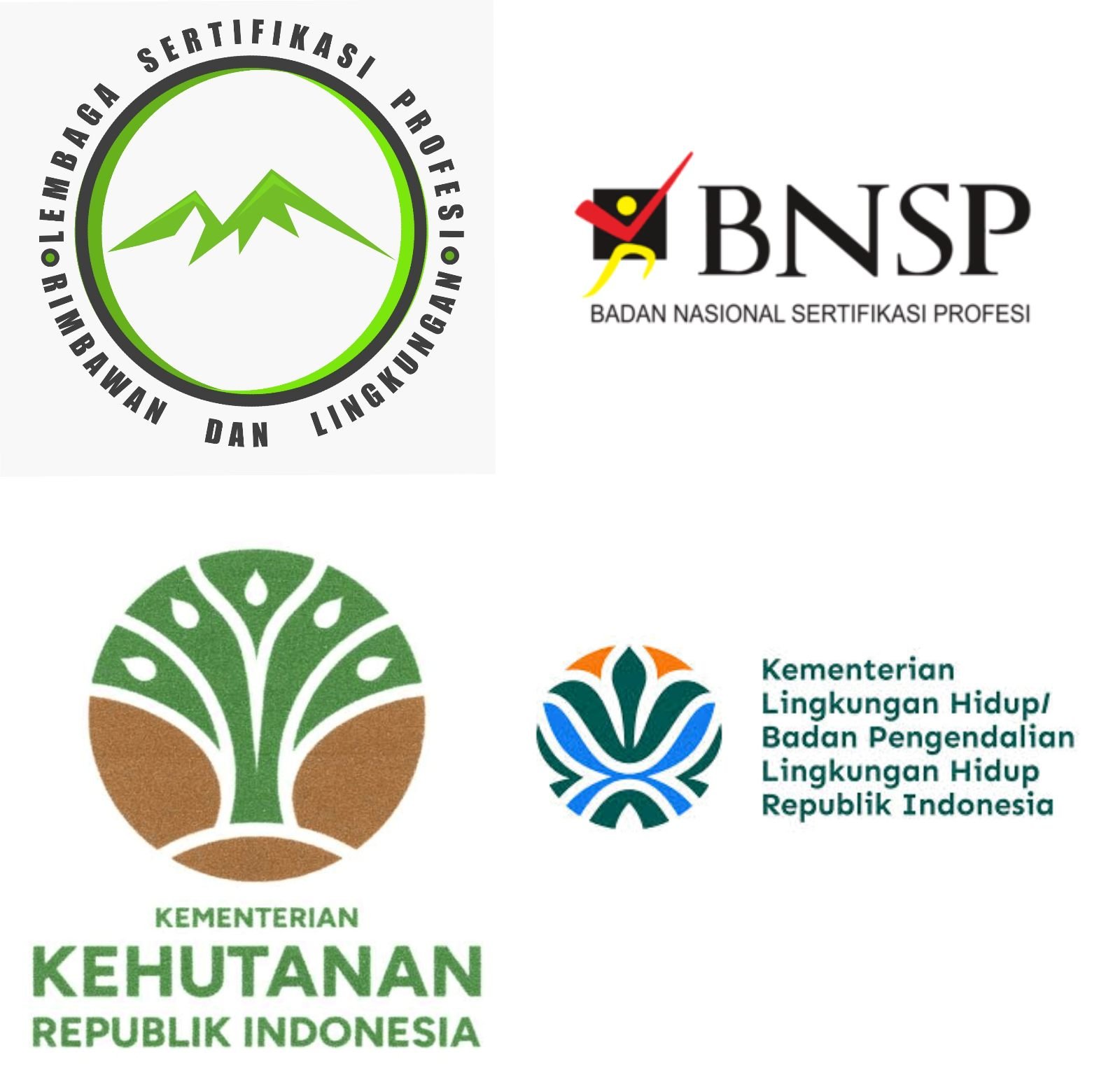 Kegiatan profesional LSP